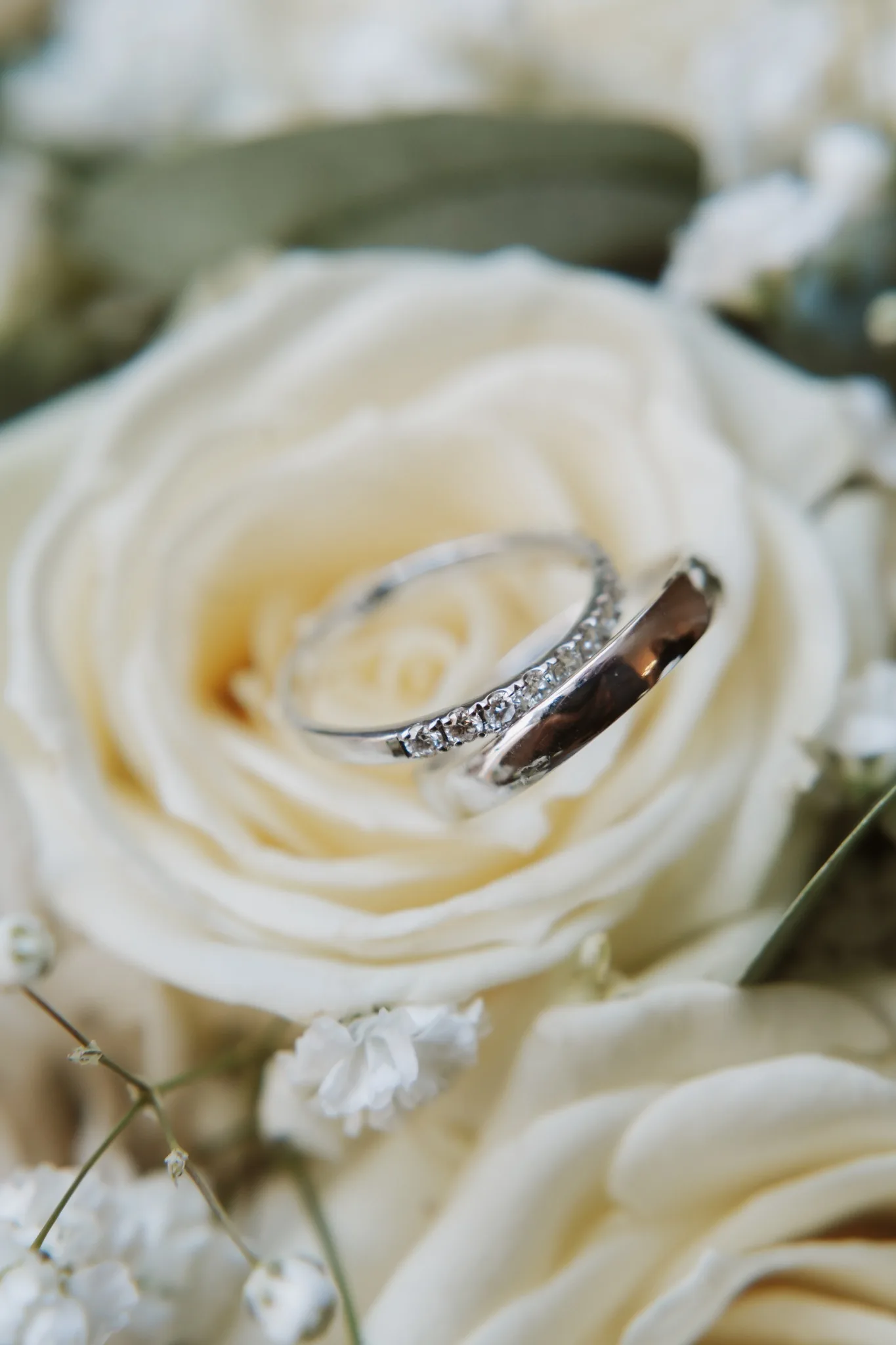 Wedding rings photographed during an elegant Lake Bled wedding